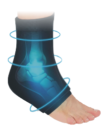 ankle